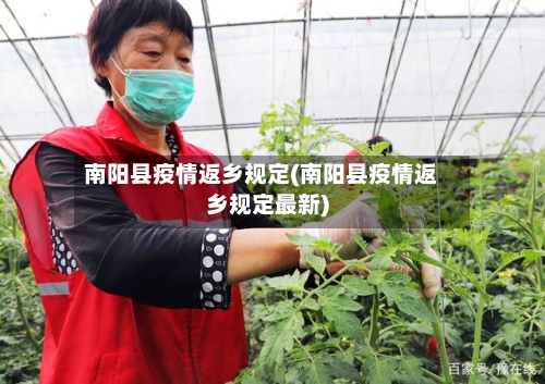 南阳县疫情返乡规定(南阳县疫情返乡规定最新)