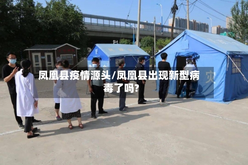 凤凰县疫情源头/凤凰县出现新型病毒了吗?-第2张图片