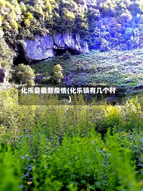 化乐县最新疫情(化乐镇有几个村)