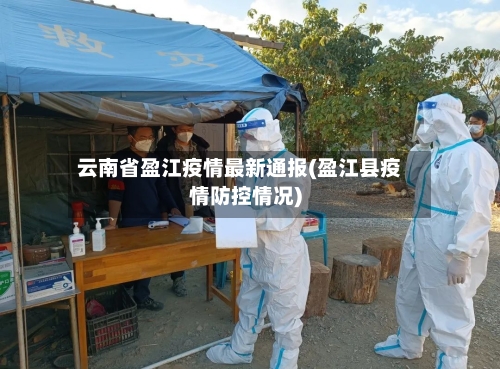 云南省盈江疫情最新通报(盈江县疫情防控情况)-第2张图片