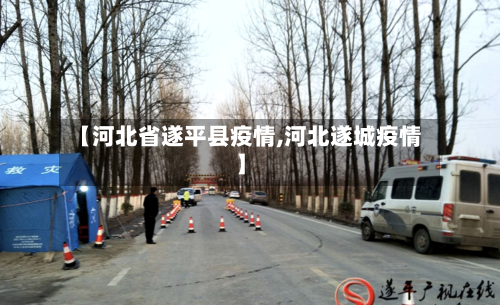 【河北省遂平县疫情,河北遂城疫情】-第3张图片