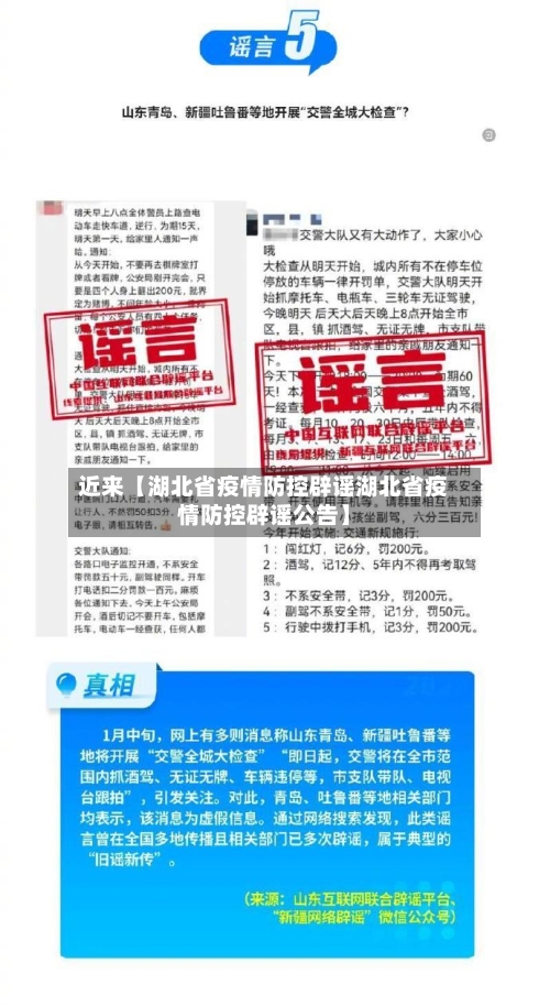 近来【湖北省疫情防控辟谣湖北省疫情防控辟谣公告】-第3张图片
