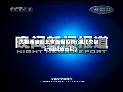 央视新闻湖北省通报疫情(湖北央视新闻频道直播)