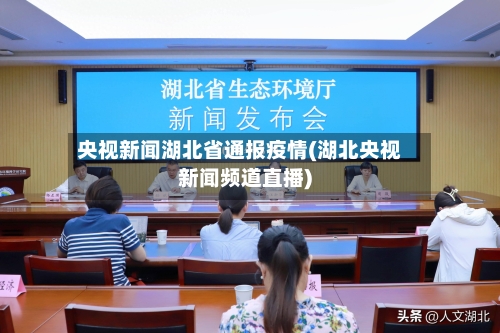 央视新闻湖北省通报疫情(湖北央视新闻频道直播)-第2张图片
