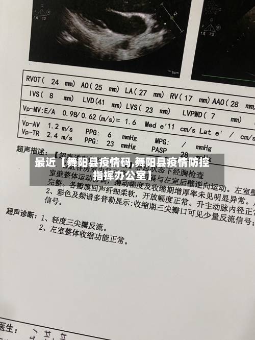 最近【舞阳县疫情码,舞阳县疫情防控指挥办公室】
