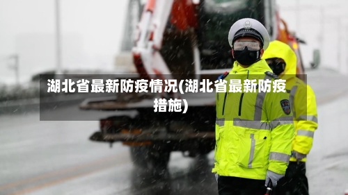 湖北省最新防疫情况(湖北省最新防疫措施)-第2张图片