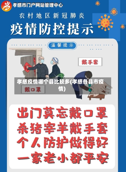 孝感疫情哪个县比较多(孝感各县市疫情)