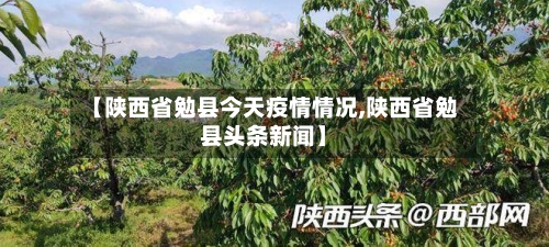【陕西省勉县今天疫情情况,陕西省勉县头条新闻】-第2张图片