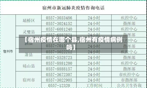 【宿州疫情在哪个县,宿州有疫情病例吗】-第2张图片