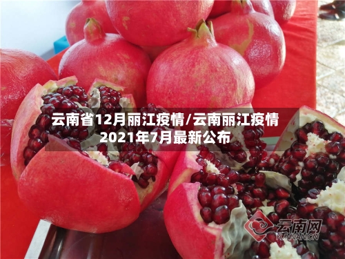 云南省12月丽江疫情/云南丽江疫情2021年7月最新公布-第2张图片
