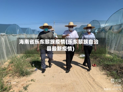 海南省乐东黎族疫情(乐东黎族自治县最新疫情)-第2张图片