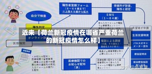 近来【荷兰新冠疫情在哪省严重荷兰的新冠疫情怎么样】