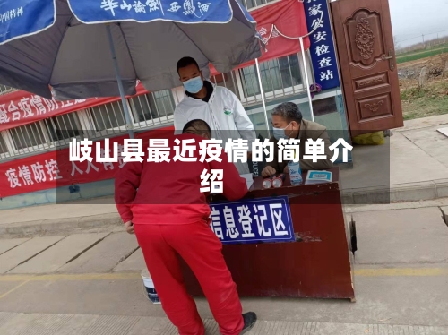 岐山县最近疫情的简单介绍-第3张图片