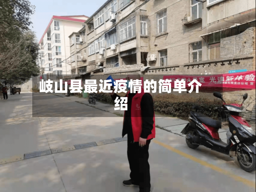 岐山县最近疫情的简单介绍