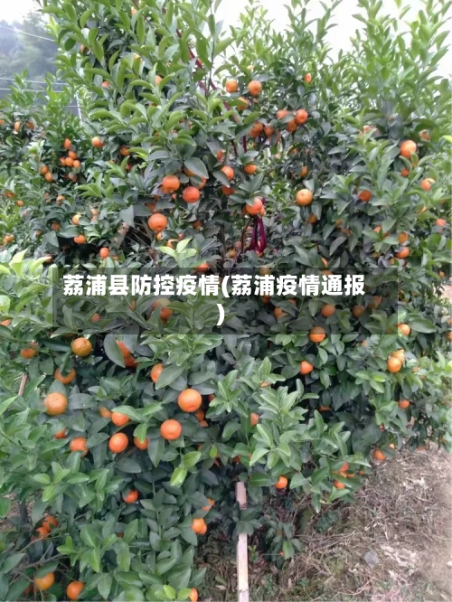 荔浦县防控疫情(荔浦疫情通报)-第2张图片