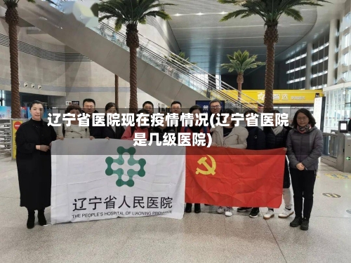 辽宁省医院现在疫情情况(辽宁省医院是几级医院)-第2张图片
