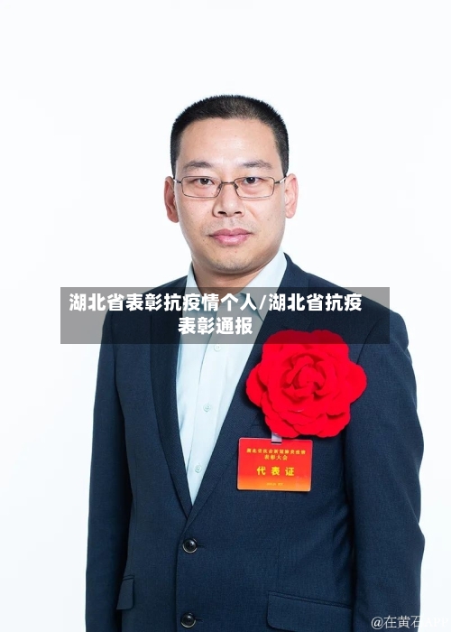 湖北省表彰抗疫情个人/湖北省抗疫表彰通报-第3张图片
