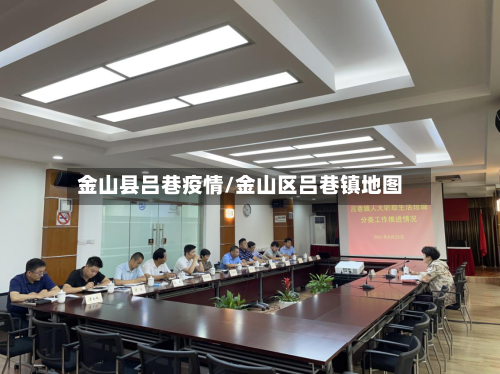 金山县吕巷疫情/金山区吕巷镇地图-第2张图片