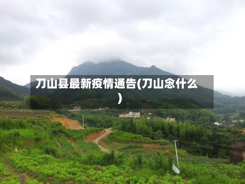 刀山县最新疫情通告(刀山念什么)