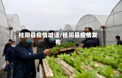 桂阳县疫情喊话/桂阳县疫情发布