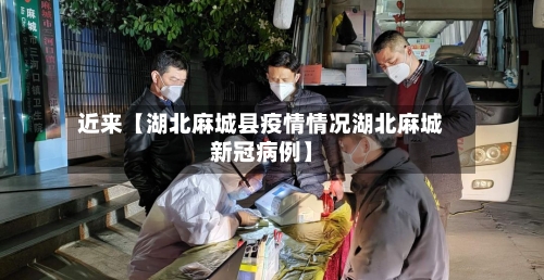 近来【湖北麻城县疫情情况湖北麻城新冠病例】-第3张图片