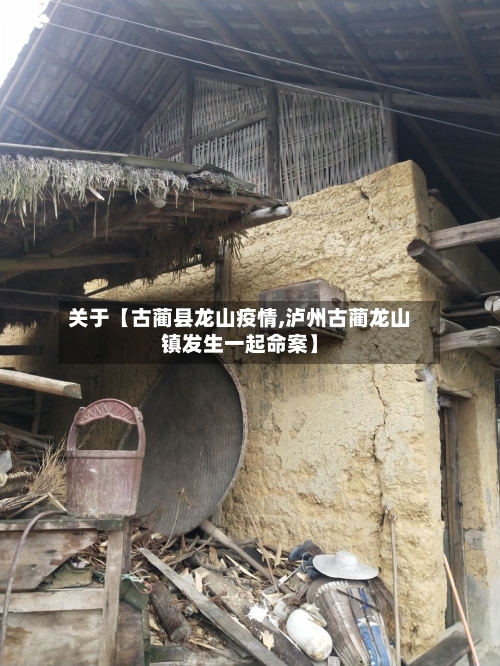 关于【古蔺县龙山疫情,泸州古蔺龙山镇发生一起命案】