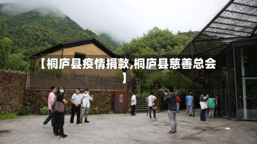 【桐庐县疫情捐款,桐庐县慈善总会】