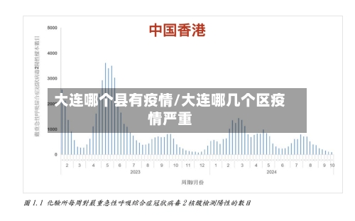 大连哪个县有疫情/大连哪几个区疫情严重-第3张图片