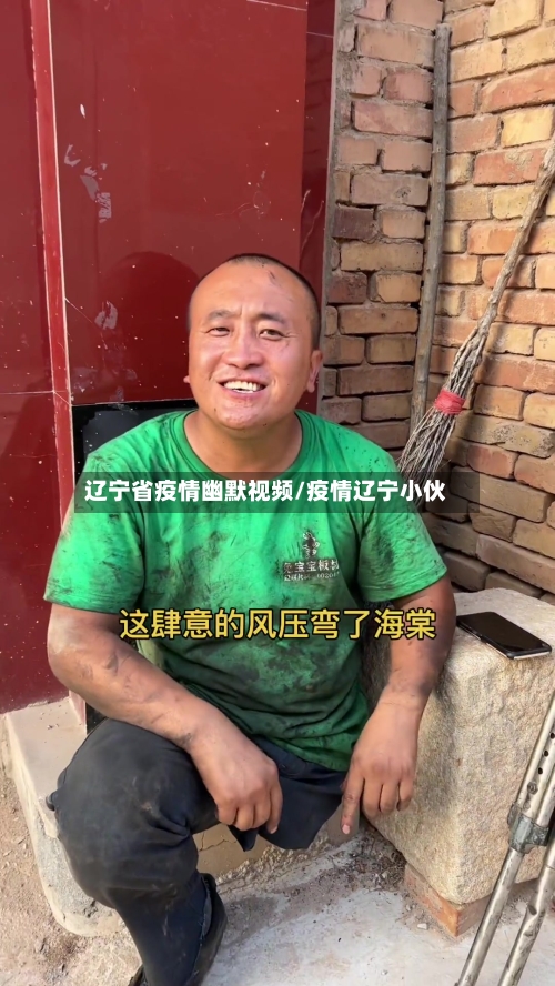 辽宁省疫情幽默视频/疫情辽宁小伙-第2张图片
