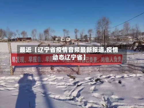 最近【辽宁省疫情音频最新报道,疫情动态辽宁省】-第3张图片