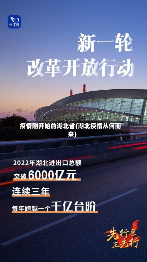 疫情刚开始的湖北省(湖北疫情从何而来)-第2张图片