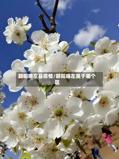 朝阳喀左县疫情/朝阳喀左属于哪个区