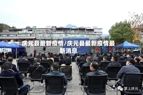 庆元县最新疫情/庆元县最新疫情最新消息-第2张图片