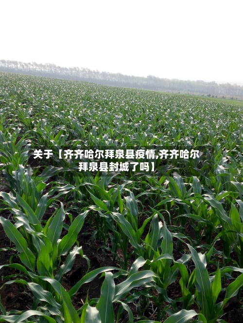 关于【齐齐哈尔拜泉县疫情,齐齐哈尔拜泉县封城了吗】-第2张图片