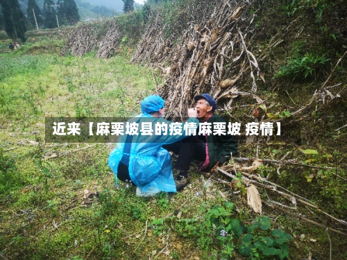 近来【麻栗坡县的疫情麻栗坡 疫情】