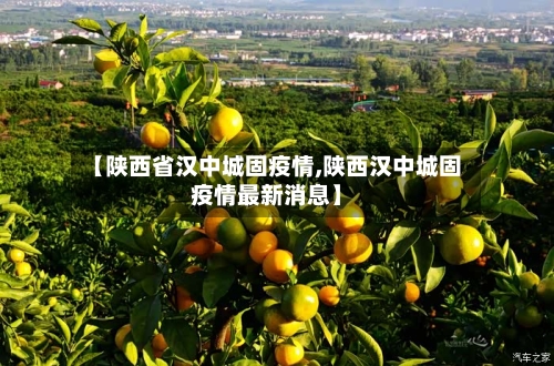 【陕西省汉中城固疫情,陕西汉中城固疫情最新消息】