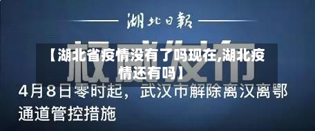 【湖北省疫情没有了吗现在,湖北疫情还有吗】