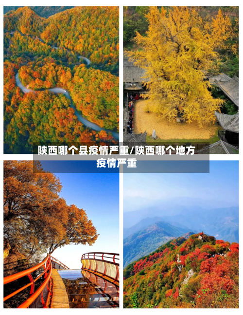 陕西哪个县疫情严重/陕西哪个地方疫情严重-第2张图片