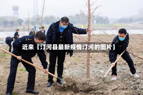 近来【汀河县最新疫情汀河的图片】