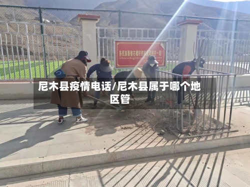 尼木县疫情电话/尼木县属于哪个地区管-第2张图片