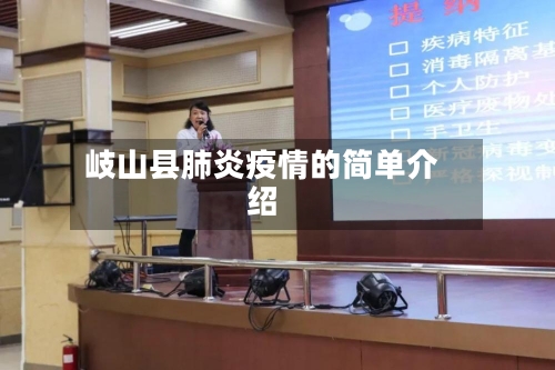 岐山县肺炎疫情的简单介绍