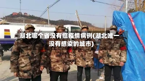 湖北哪个省没有瘟疫情病例(湖北唯一没有感染的城市)-第2张图片