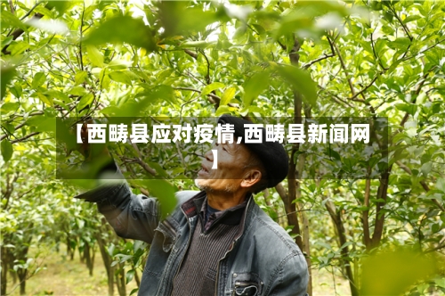 【西畴县应对疫情,西畴县新闻网】