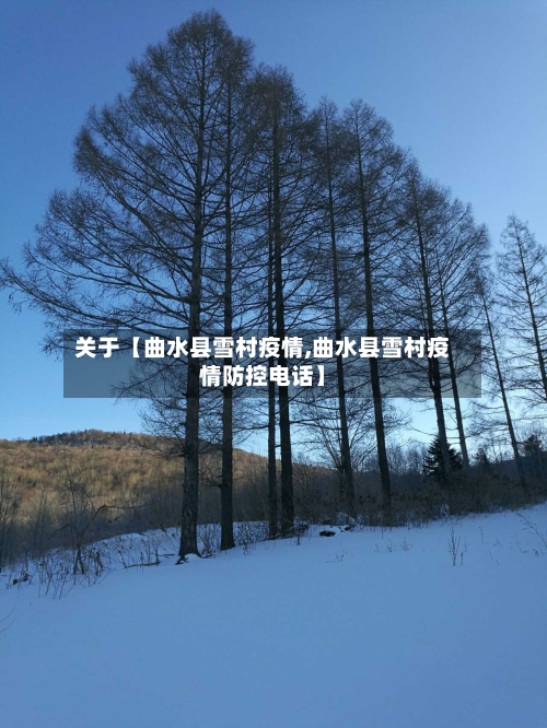关于【曲水县雪村疫情,曲水县雪村疫情防控电话】-第2张图片