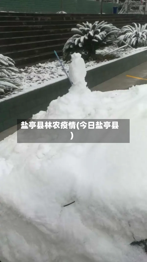 盐亭县林农疫情(今日盐亭县)-第3张图片