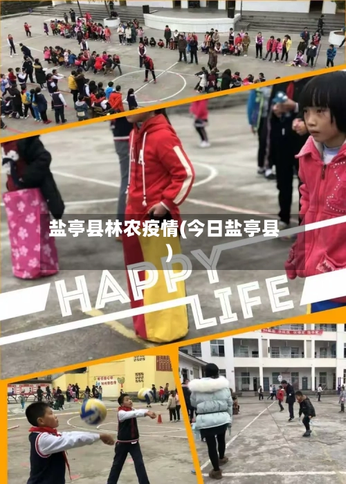 盐亭县林农疫情(今日盐亭县)-第2张图片