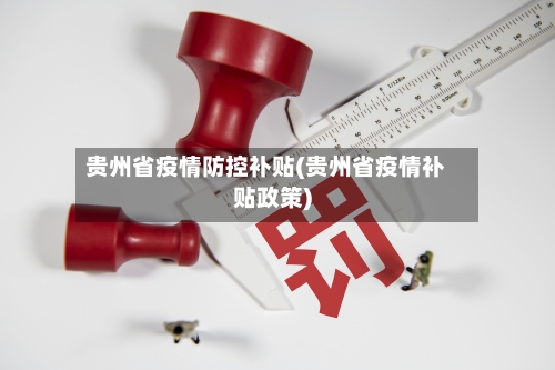 贵州省疫情防控补贴(贵州省疫情补贴政策)-第2张图片