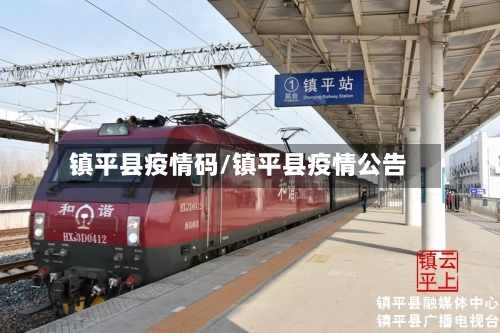 镇平县疫情码/镇平县疫情公告-第2张图片