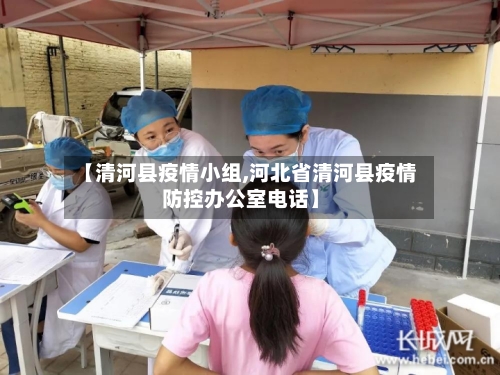 【清河县疫情小组,河北省清河县疫情防控办公室电话】-第2张图片