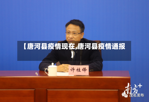 【唐河县疫情现在,唐河县疫情通报】